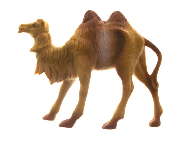 cammello in piedi cm 10 mod napoletano