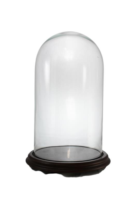 cupola vetro 20x35