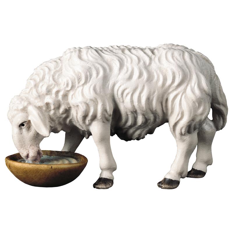 ul pecora che beve. 10 cm.scolpito in legno di ace