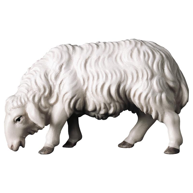 ul pecora che mangia. 50 cm.scolpito in legno di t