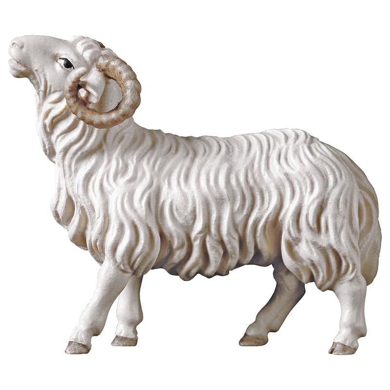 ul montone. 12 cm.scolpito in legno di acero.