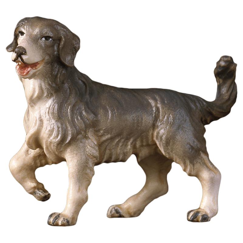 ul cane da pascolo. 50 cm.scolpito in legno di tig