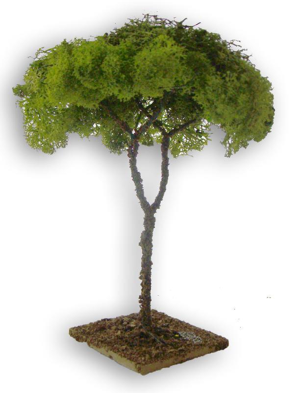 albero lichene cm 24
