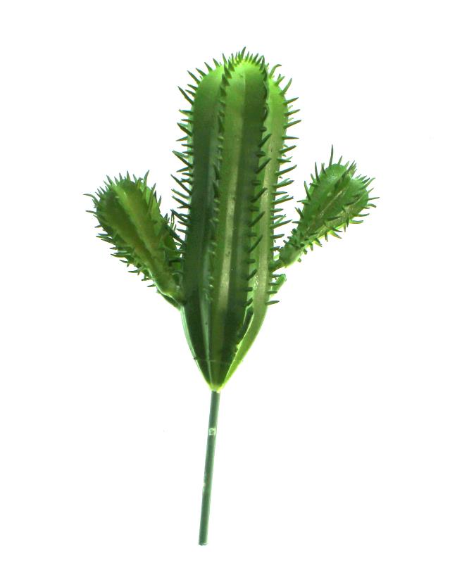 cactus grande altezza cm 9