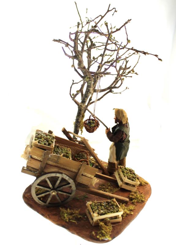 contadino che raccoglie le olive cm 12 terracotta