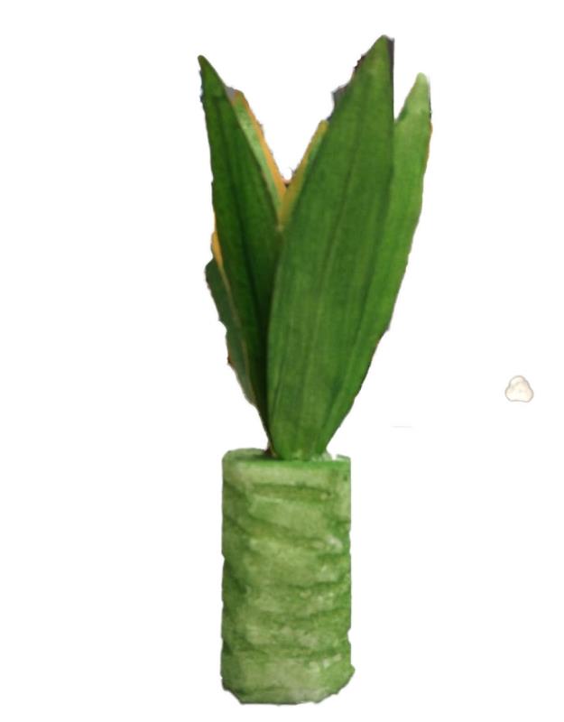 pianta per presepe agave  altezza cm 14