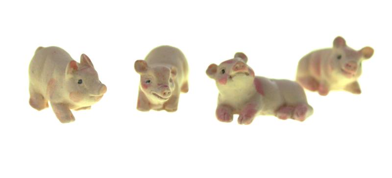confezione maialini 4 pz. cm 3.5