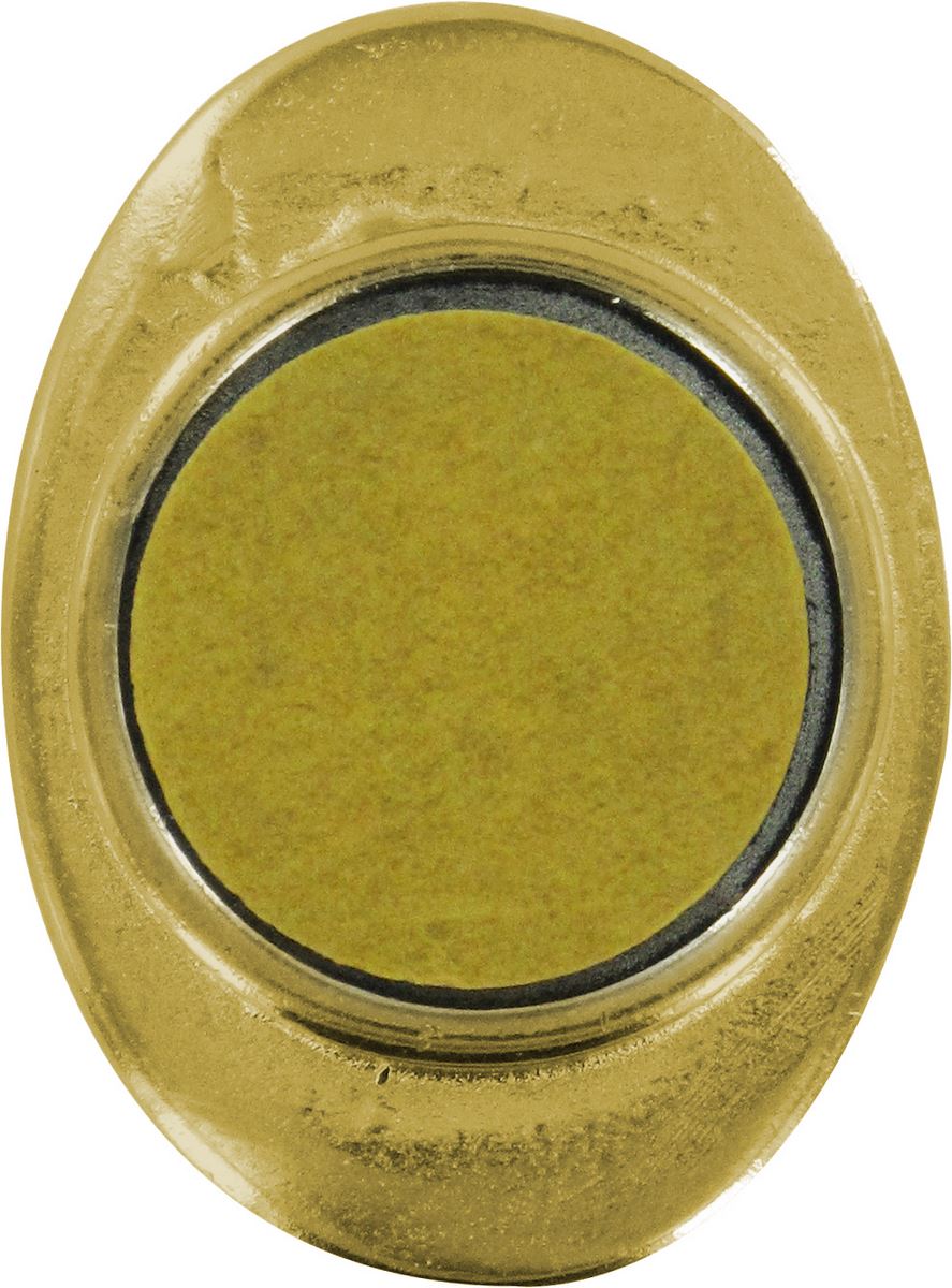 calamita ovale in metallo dorato resina cliente