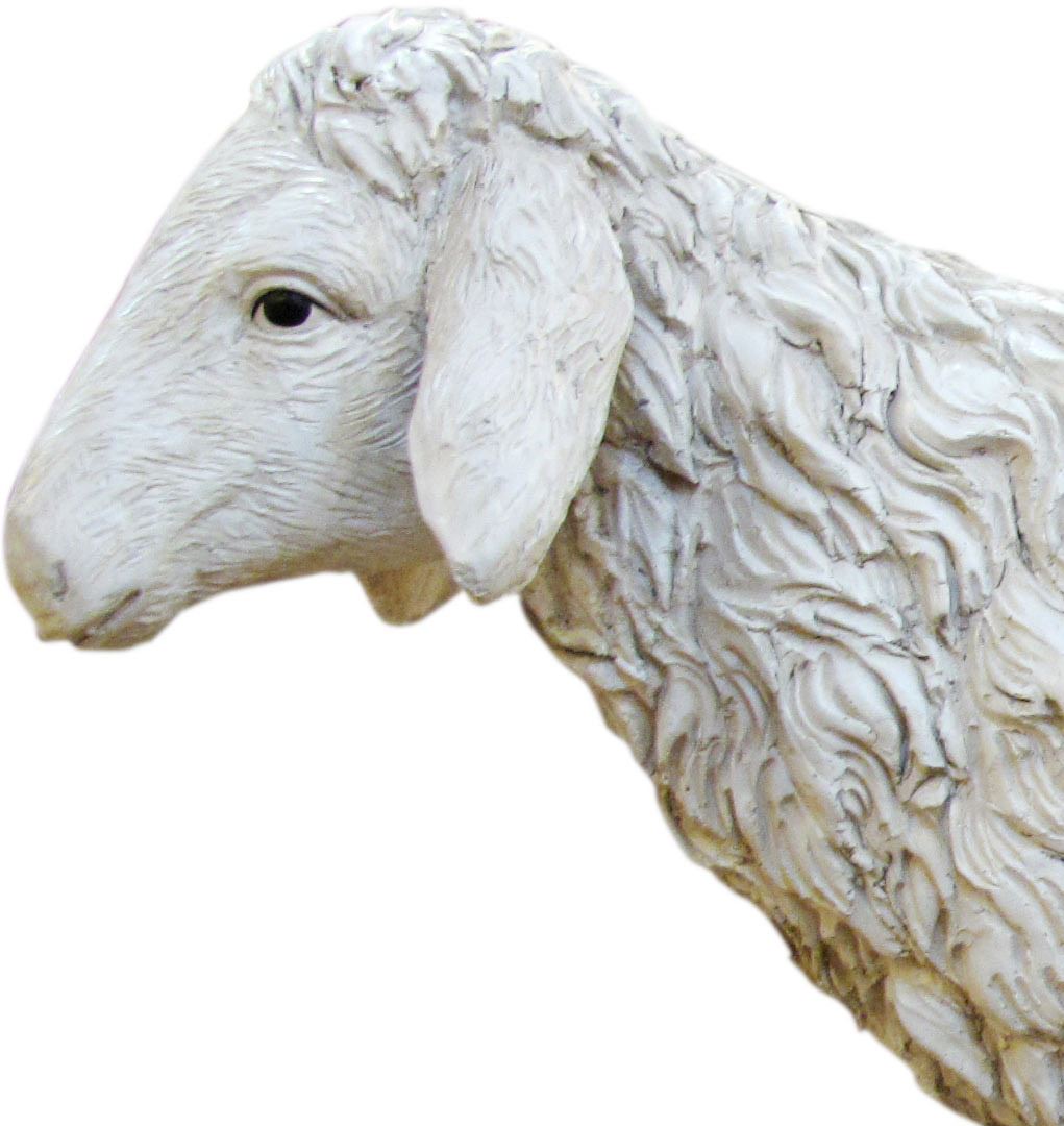 statue presepe: pecora con testa alta linea martino landi per presepe da cm 120