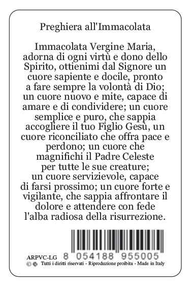 Ferrari /& Arrighetti Card Madonna Miracolosa in PVC Misura 5,5 x 8,5 cm Italiano