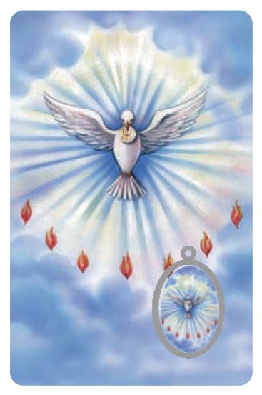 card spirito santo in pvc - 5,5 x 8,5 cm - italiano