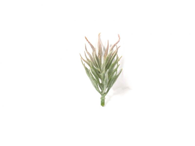 pianta in miniatura per presepe, piantina/arbusto per ricreare vegetazione in presepi, arbusto con foglie lunghe per diorama/modellismo, plastica, verde, 9 cm