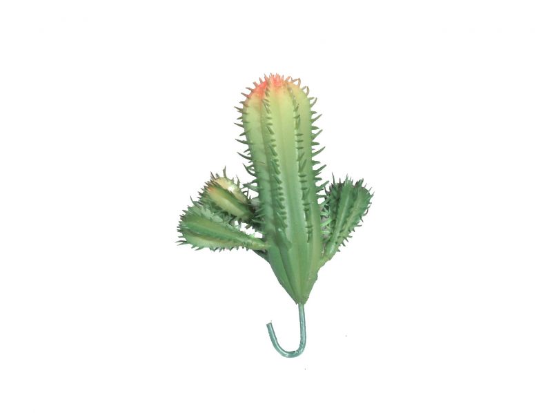 cactus grande – bertoni presepe linea natale
