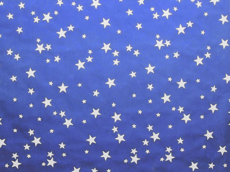 cielo vellutato opaco con stelle argento – bertoni presepe linea natale