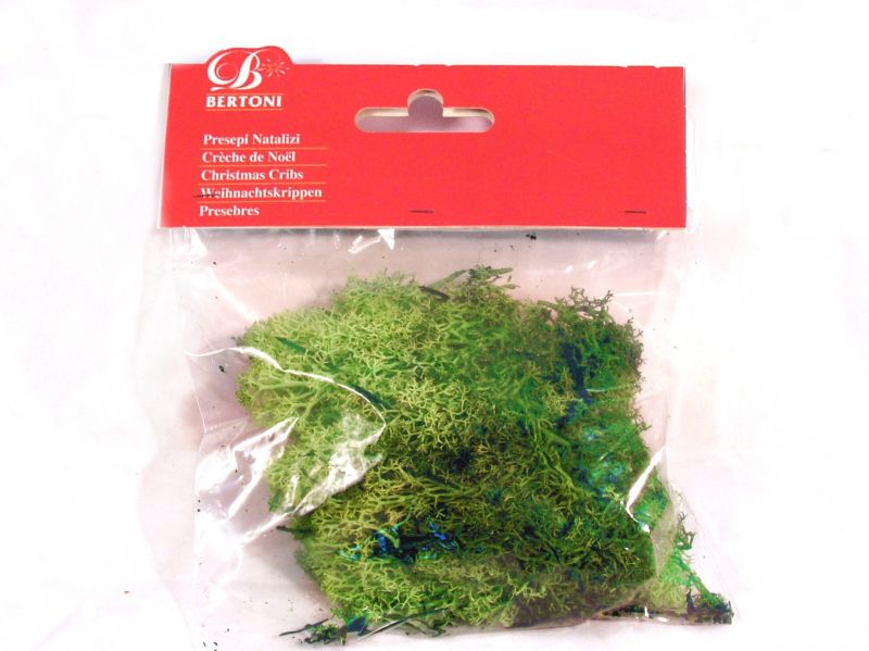 lichene verde gr. 30 – bertoni presepe linea natale