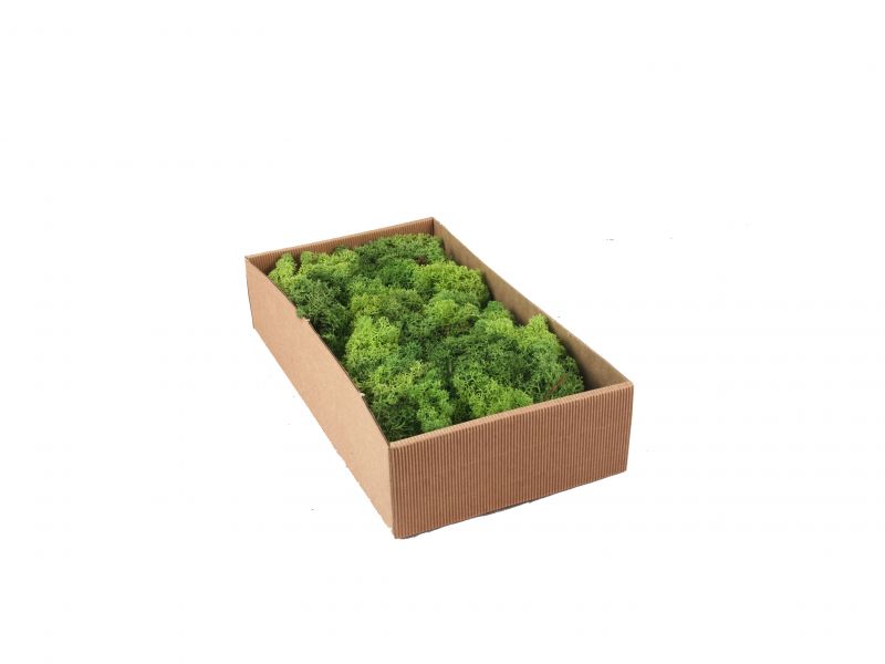 scatola lichene gr. 400 – bertoni presepe linea natale