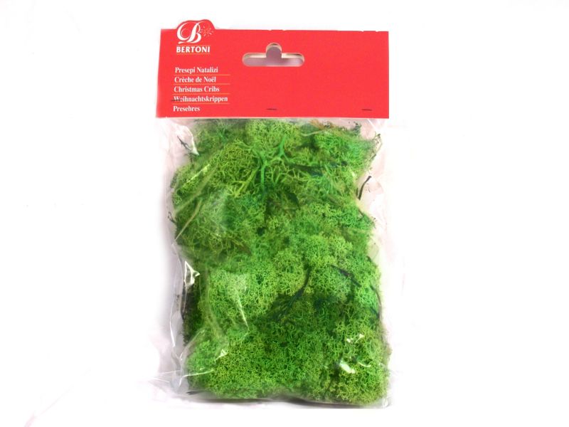 1 busta muschio lichene verde chiaro presepe,shepherd crib gia 