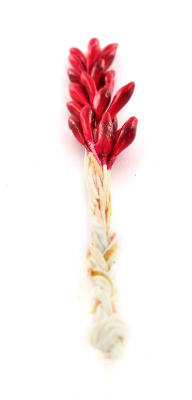 ramo di peperoncini – bertoni presepe linea natale