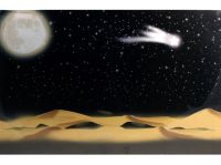 FONDALE CIELO NOTTURNO STELLATO NEL DESERTO PER PRESEPE, SFONDO ILLUMINATO DA FIBRE OTTICHE A PILE/BATTERIE, 60 X 40 CM