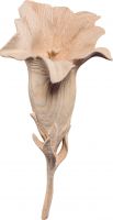 GENZIANA - DEMETZ - DEUR - STATUA IN LEGNO DIPINTA A MANO. ALTEZZA PARI A 9 CM.